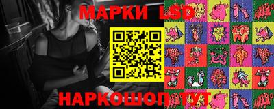 прущие грибы Бердск