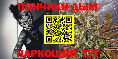 прущие грибы Бердск